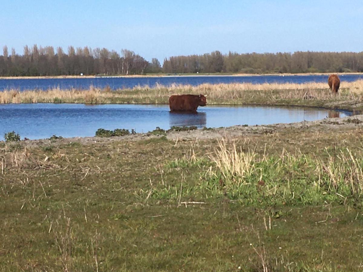Bnb Purmerland Purmerend Exteriér fotografie