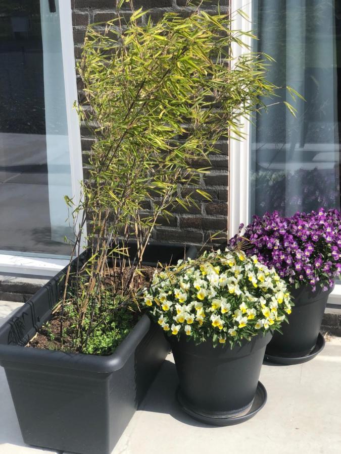 Bnb Purmerland Purmerend Exteriér fotografie